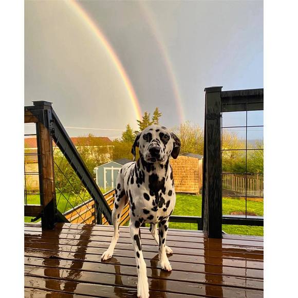 Meet your Posher, Kels - Picture 1 of 1